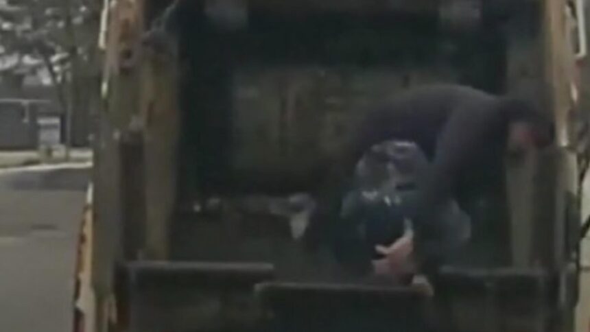 fugar prins dupa ce a sarit dintr un tomberon a fost descoperit de un angajat de la salubritate 699ff88009381