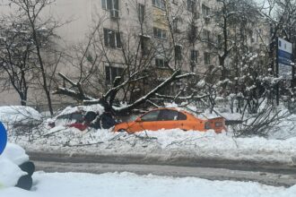 haos in capitala copaci prabusiti peste masini autobuze blocate in zapada si trafic paralizat 6995a3bed0435