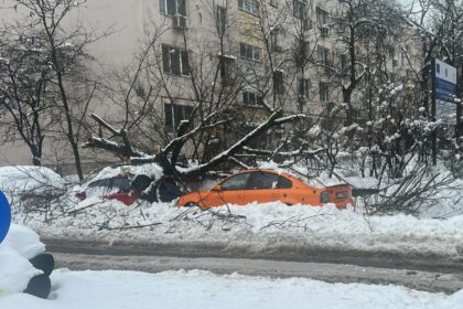 haos in capitala copaci prabusiti peste masini autobuze blocate in zapada si trafic paralizat 6995a3bed0435
