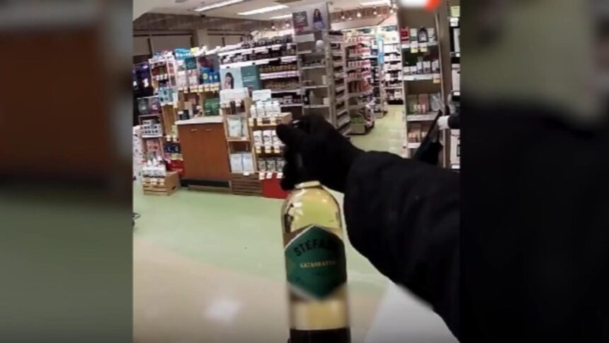 hotii costumati in robin hood au donat mancarea sarmanilor furt in canada 6984c555911cd