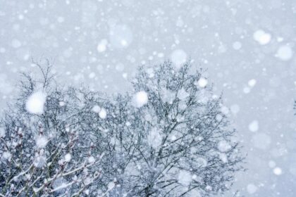 iarna revine in forta ninsori si ger pana joi anuntul de ultima ora al anm 6994155686c14