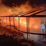 incendiu de proportii in judetul suceava o sera de flori a fost mistuita de flacari foto 698aee955a080