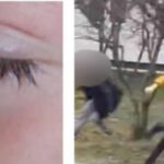 incident grav la o scoala din maramures baiat de 12 ani lovit de doua colege politia a deschis o ancheta 699427fea1abc