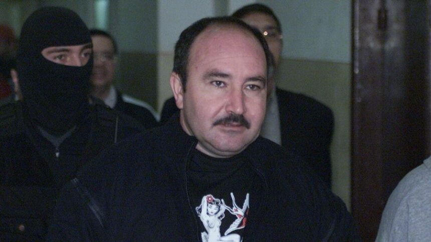 instanta admite cererea de reabilitare judecatoreasca a lui nutu camataru decizia nu este definitiva 698cbe8b1f20c