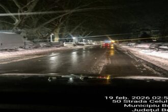 interventie exemplara braila gestionata eficient in fata naturii munca si decizii asumate 6996defcd152e