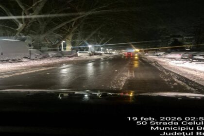 interventie exemplara braila gestionata eficient in fata naturii munca si decizii asumate 6996defcd152e