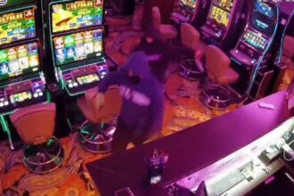 jaf ca in filme intr o sala de jocuri de noroc din brasov trei tineri au amenintat o angajata si au fugit cu 12 000 de lei video 6984b96433087