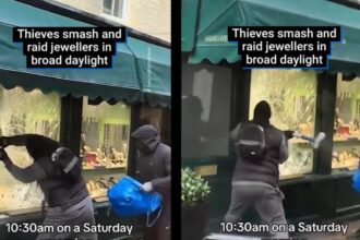 jaf ca in filme la magazin de bijuterii ziua in amiaza mare hotii sparg vitrina cu ciocane sub ochii trecatorilor video 697fa2e5ec189