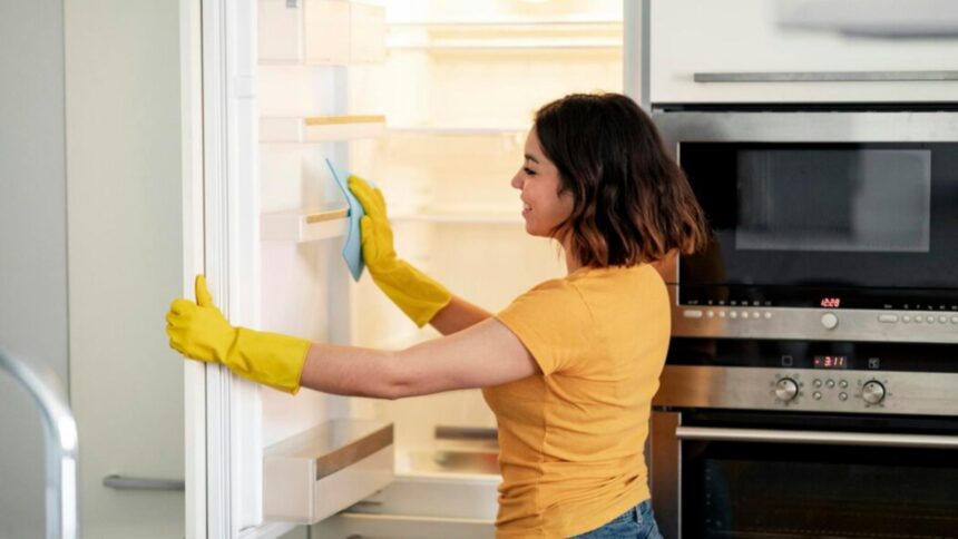 la cat timp trebuie sa cureti garnitura frigiderului si cum o igienizezi corect trucul care iti va salva electrocasnicul 698c8795a90d1