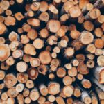 mafia lemnului destructurata in bihor patru persoane retinute pentru furt si introducere de date false in aplicatia sumal 2 0 698c9816c694c