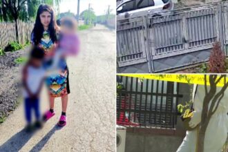 marturia barbatului din prahova condamnat pe viata dupa ce si a ucis concubina cu toporul m a refuzat deci e vinovata 699b1851f05df