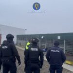 mascatii au descins la un lagar al cainilor animalele erau ucise cu bestialitate imediat dupa capturare 698ec08a6988c