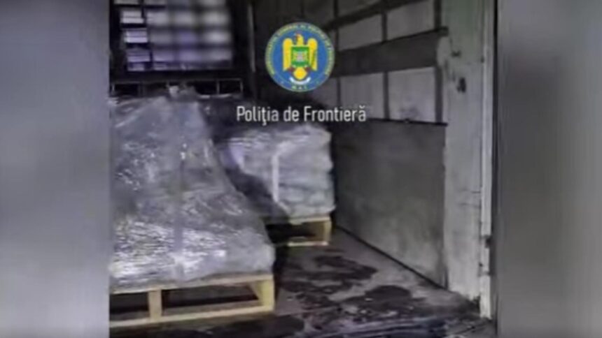 migranti descoperiti intr un camion cu numere turcesti oprit pe dn5 in urma unei actiuni de tip blitz 6983625c22da4
