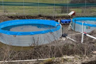 minunea de pe paraul gioroc un preot a deviat cursul apei pentru o pastravarie ilegala 699ec32ab5d72