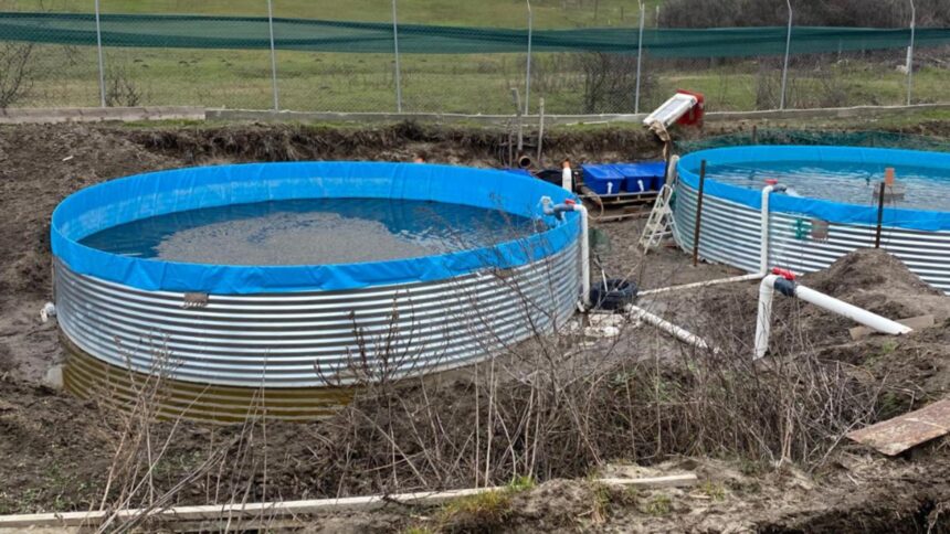 minunea de pe paraul gioroc un preot a deviat cursul apei pentru o pastravarie ilegala 699ec32ab5d72