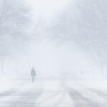 moarte cumplita in statele unite ale americii irina si fiul ei au murit blocati in masina in timpul viscolului 699d8caed55f3