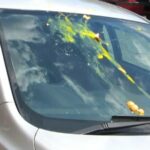 noua schema a hotilor metoda oului pe parbriz lasa soferii fara bunuri in cateva secunde 69846e87cf0b8