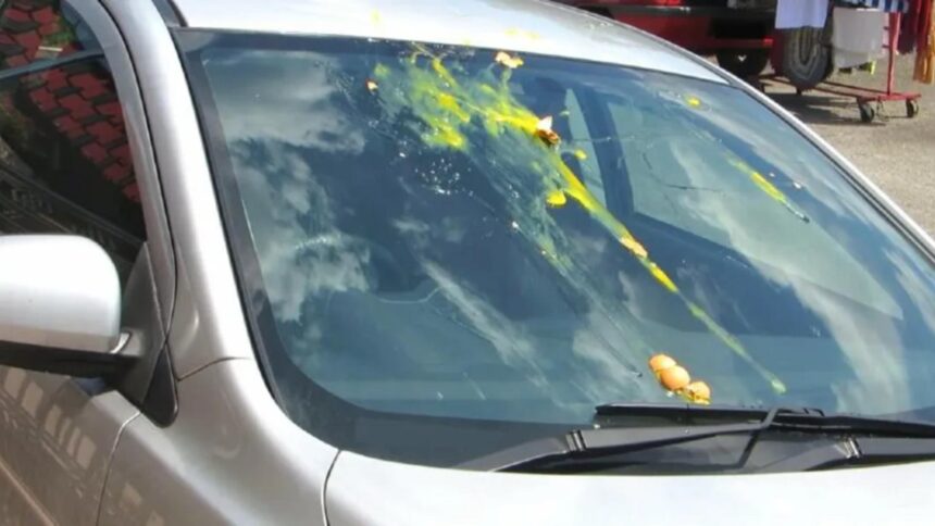 noua schema a hotilor metoda oului pe parbriz lasa soferii fara bunuri in cateva secunde 69846e87cf0b8