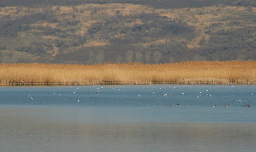 o arie naturala de la iasi recunoscuta international nu are inca o sigla concurs de logo uri pentru delta moldovei 6982a56aeaab4