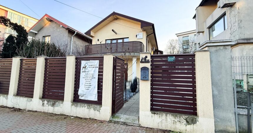 o femeie medic veterinar la iasi a fost terorizata de un individ dupa ce a cumparat o vila in tatarasi mihaita caldararu a spus ca o omoara daca nu se muta 69813e01a3dbf