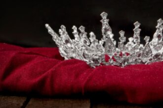 o printesa europeana apare in dosarele epstein alteta regala ii cerea sfaturi infractorului sexual 697f66dbc4d29