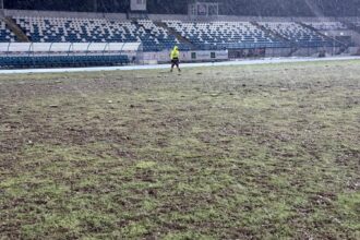 omul care s a ocupat de repararea gazonului din copou dupa dezastrul de duminica mare lucru nu se mai poate face 69945c87900fb