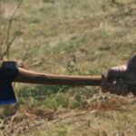 patru barbati din iasi au atacat cu bate furci si topoare gospodaria unui localnic ca razbunare pentru ajutorul dat justitiei 699c1d510006f