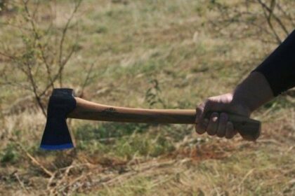 patru barbati din iasi au atacat cu bate furci si topoare gospodaria unui localnic ca razbunare pentru ajutorul dat justitiei 699c1d510006f