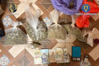 perchezitii in judetul timis la persoane care furnizau droguri pentru dealerii de la care s au aprovizionat adolescentii care au ucis un baiat de 15 ani 69a026195d56e