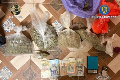 perchezitii in judetul timis la persoane care furnizau droguri pentru dealerii de la care s au aprovizionat adolescentii care au ucis un baiat de 15 ani 69a026195d56e