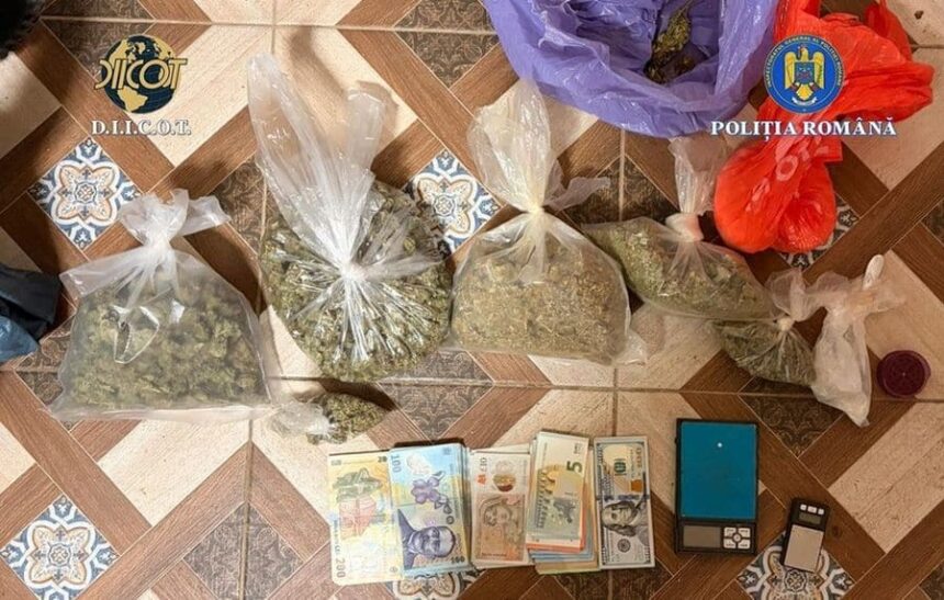 perchezitii in judetul timis la persoane care furnizau droguri pentru dealerii de la care s au aprovizionat adolescentii care au ucis un baiat de 15 ani 69a026195d56e