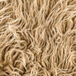 pericolul invizibil din mocheta boli pe care le poti dezvolta semnal de alarma tras de specialisti 699eb2c7172ce