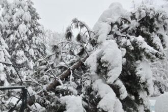 peste 100 de interventii ale pompierilor in bucuresti si ilfov copaci cazuti si zeci de masini avariate 699554017073b