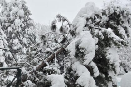 peste 100 de interventii ale pompierilor in bucuresti si ilfov copaci cazuti si zeci de masini avariate 699554017073b