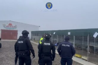 peste 15 000 de caini o parte provenind din judetul iasi au fost ucisi in lagar cei responsabili sunt inca in libertate 69940d9e5fa9c