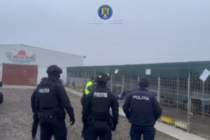 peste 15 000 de caini o parte provenind din judetul iasi au fost ucisi in lagar cei responsabili sunt inca in libertate 69940d9e5fa9c