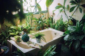 plantele care absorb umiditatea excesiva din baie purifica aerul din incapere 699ec0ef00028