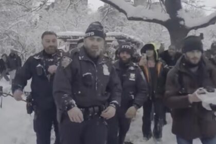 politia a arestat un barbat dupa o bataie cu bulgari de zapada incidentul care a aprins spiritele la new york 69a1e600078b5