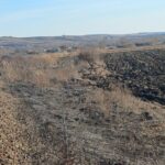 pompierii intervin in judetul iasi pentru stingerea unui incendiu de vegetatie uscata 6990843b93f90