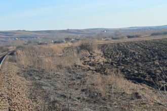 pompierii intervin in judetul iasi pentru stingerea unui incendiu de vegetatie uscata 6990843b93f90