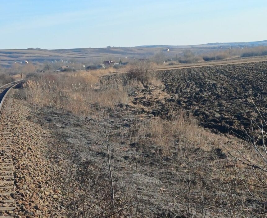 pompierii intervin in judetul iasi pentru stingerea unui incendiu de vegetatie uscata 6990843b93f90