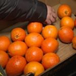 portocale cu pesticide vandute in hypermarketuri din romania importatorul le a schimbat eticheta si ambalajul 698d8e09ad845