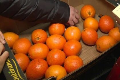 portocale cu pesticide vandute in hypermarketuri din romania importatorul le a schimbat eticheta si ambalajul 698d8e09ad845