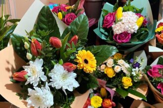 primavara a ajuns mai devreme in florariile din iasi lalelele se vand inca din februarie cateva preturi orientative 697ffb76ee5ac