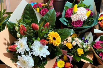 primavara a ajuns mai devreme in florariile din iasi lalelele se vand inca din februarie cateva preturi orientative 697ffb76ee5ac