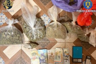 primele retineri in ancheta drogurilor din cazul crimei de la cenei ce au descoperit politistii si procurorii diicot 69a0d95358761