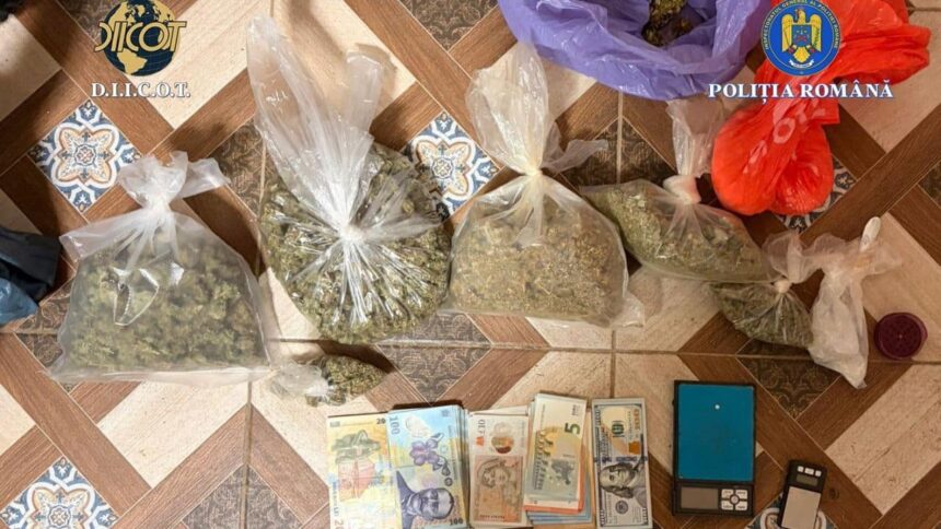 primele retineri in ancheta drogurilor din cazul crimei de la cenei ce au descoperit politistii si procurorii diicot 69a0d95358761