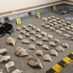 retea de droguri de mare risc destructurata in arges peste 10 kilograme de stupefiante gasite ingropate 699722c905926