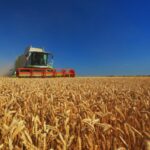 romania a redevenit granarul europei ministrul agriculturii promite 27 milioane de hectare irigate pana in 2027 nimeni nu ne mai poate bate 69a089d891ba2