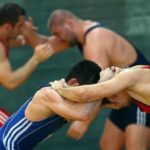 romania a trimis o delegatie oficiala la o competitie de lupte din rusia invitati de un apropiat al lui putin 698c9db57ab97